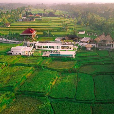 Villa Harta Ubud Екстер'єр фото