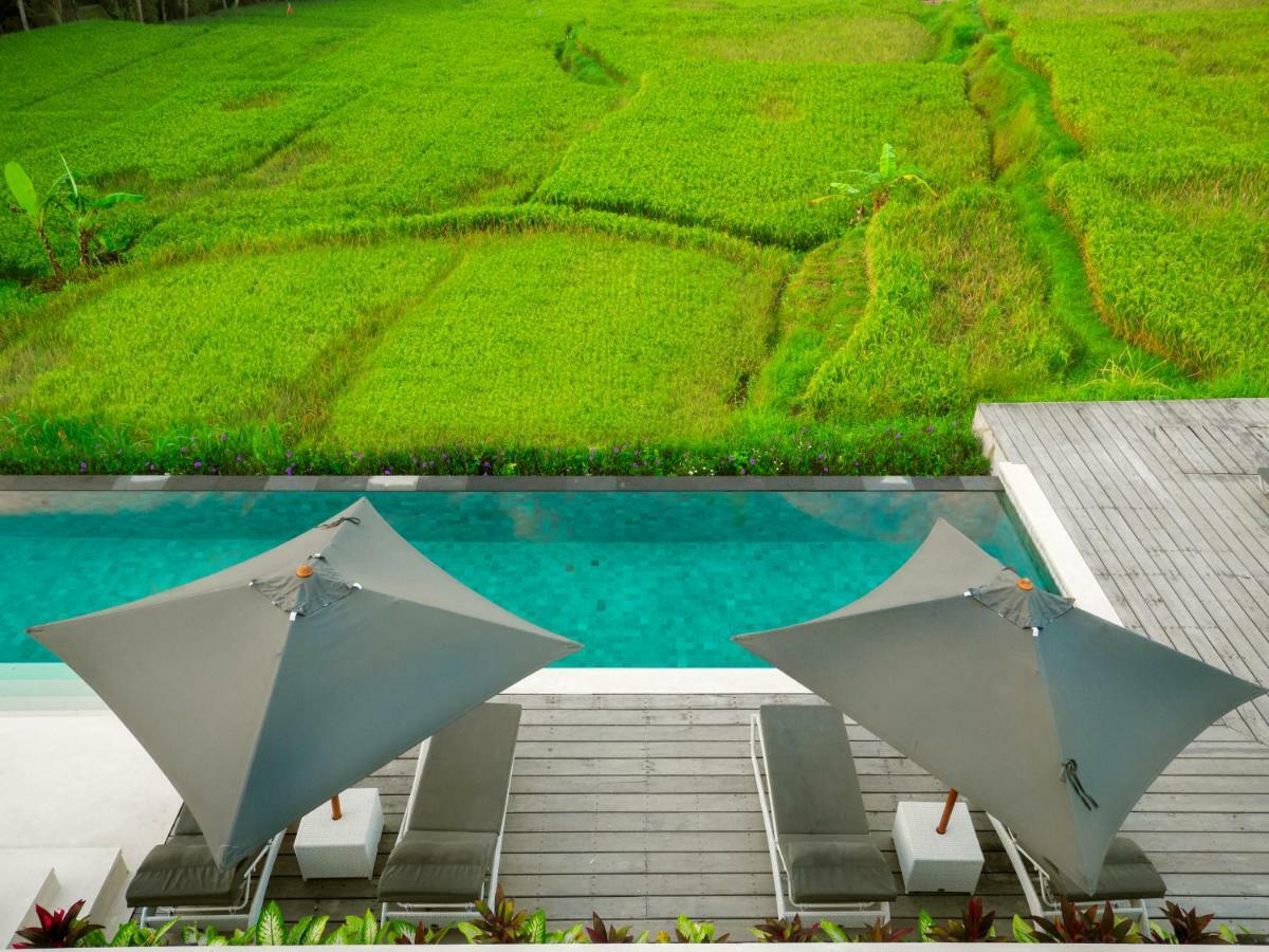 Villa Harta Ubud Екстер'єр фото